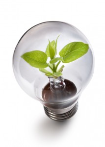 Caversham Vehicle Hire - Light Bulb